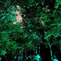 【大阪 長居公園】幻想世界 ボタニカルガーデン