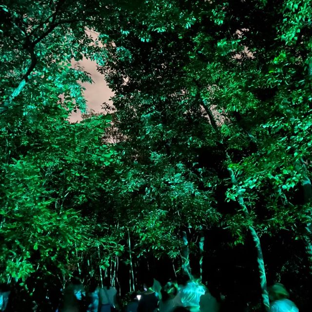 【大阪 長居公園】幻想世界 ボタニカルガーデン
