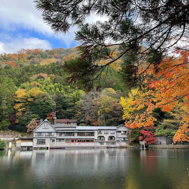 ทะเลสาปคินริน KINRIN LAKE, Oita, Japan