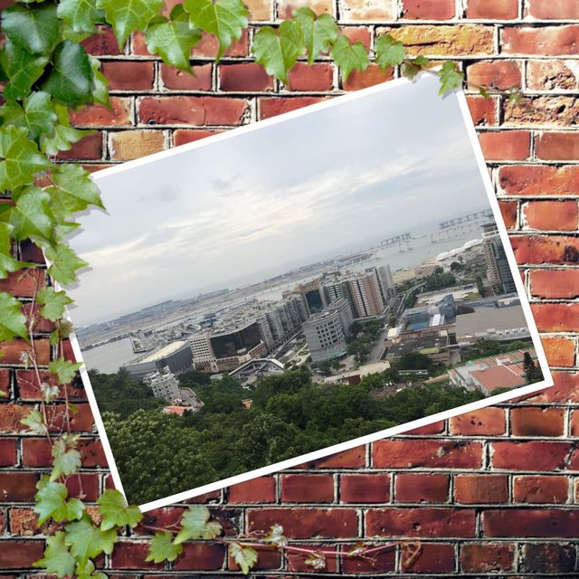 登東望洋塔🗼體驗全澳景色