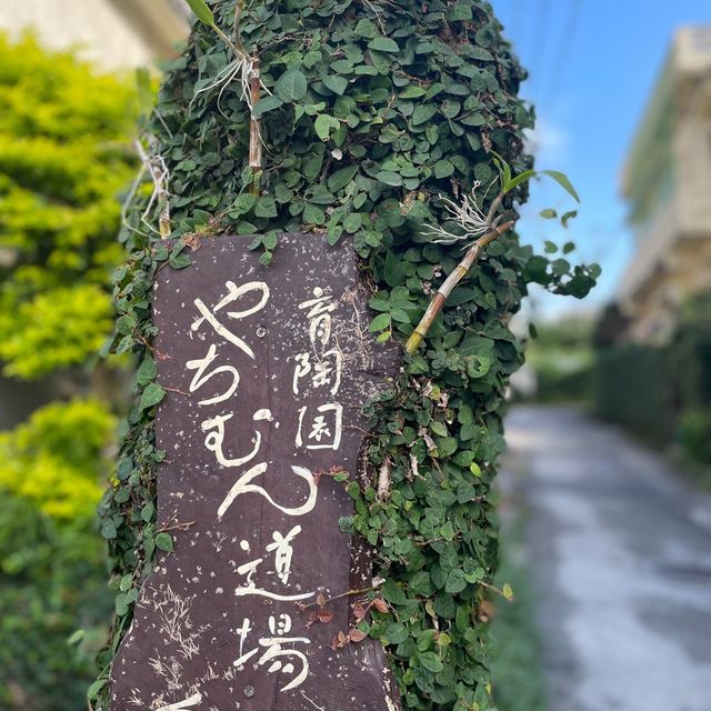 【沖縄 那覇】見所満載 やちむん通り