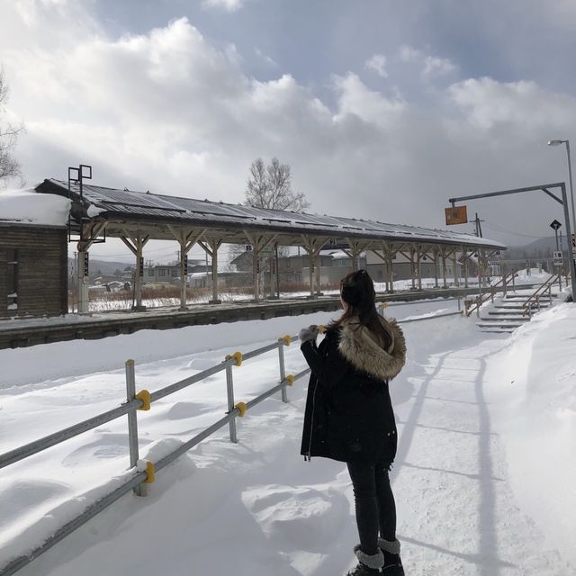 北海道北見🦊近距離親親狐狸牧場