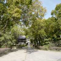 두근두근여름휴가 일본 후쿠오카 사찰 여행 Shofukuji 聖福寺