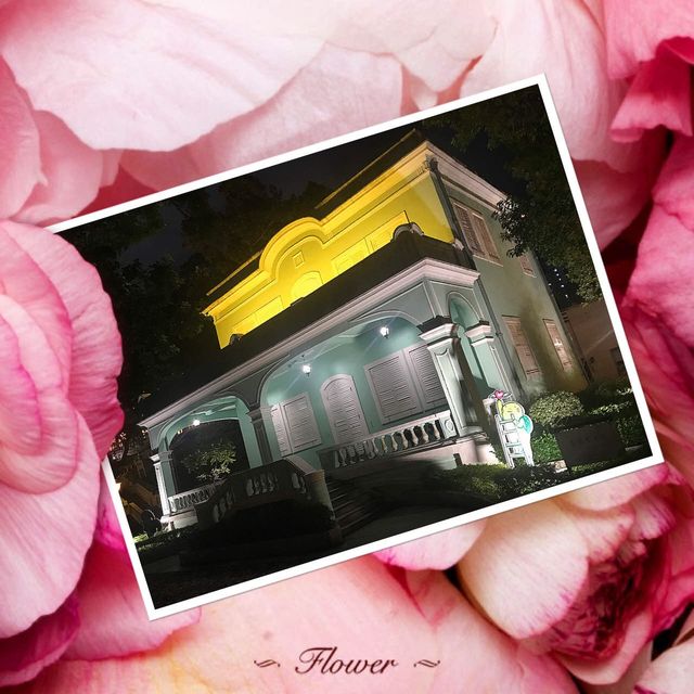龍環葡韻🥰欣賞夜之美景