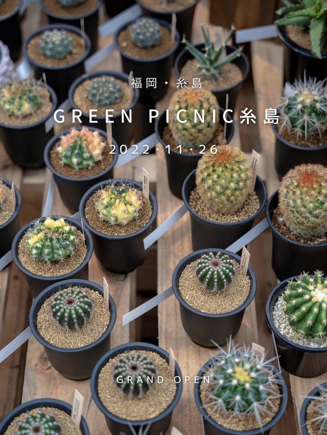 GREEN PICNIC 糸島