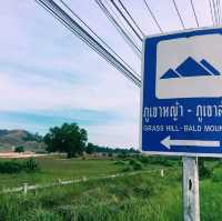 ภูเขาหญ้า