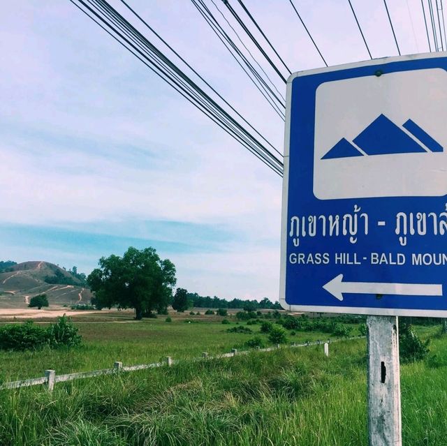 ภูเขาหญ้า