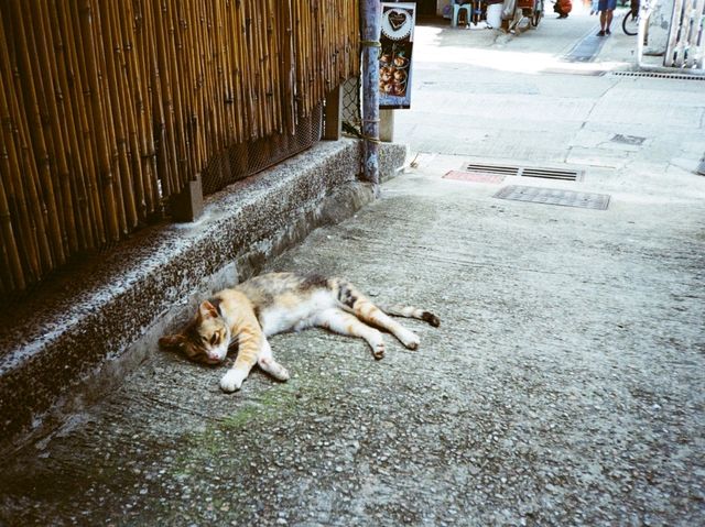 大澳一日遊
