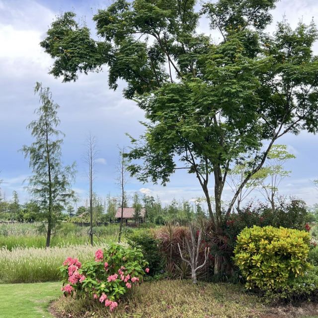**中山翠亨國家濕地公園 | 欣欣向榮😍🌿💦 