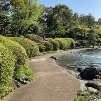 🎨🌍江戶川區自然動物園與動物奇趣😄🐛