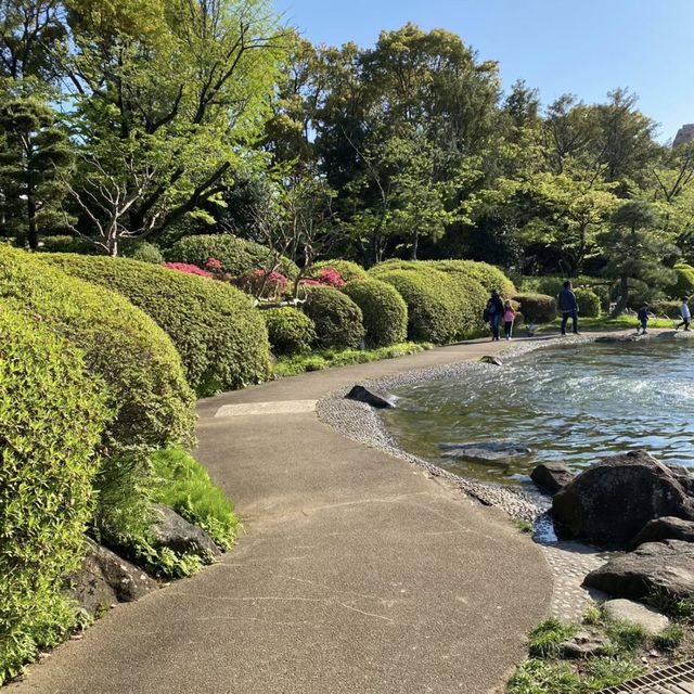 🎨🌍江戶川區自然動物園與動物奇趣😄🐛