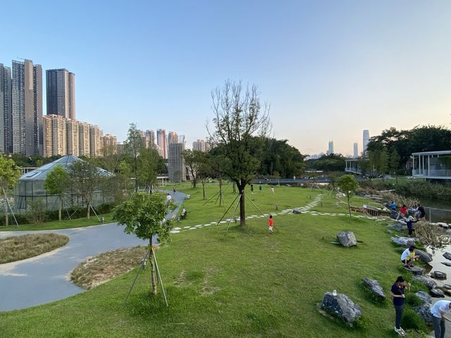 賞湖賞花賞貓@深圳洪湖公園 賞湖賞花賞貓@深圳洪湖公園