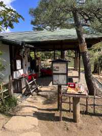 東京【駒込】六義園