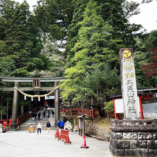 Discover amazing Nikko Toshogu Shrine