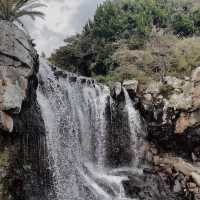 裏見瀑布 🌊🌳驚豔瀑布💦🏞️
