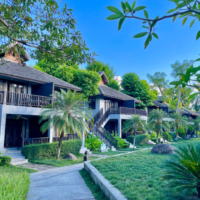 The Quarter: Pai's Tranquil Symphony