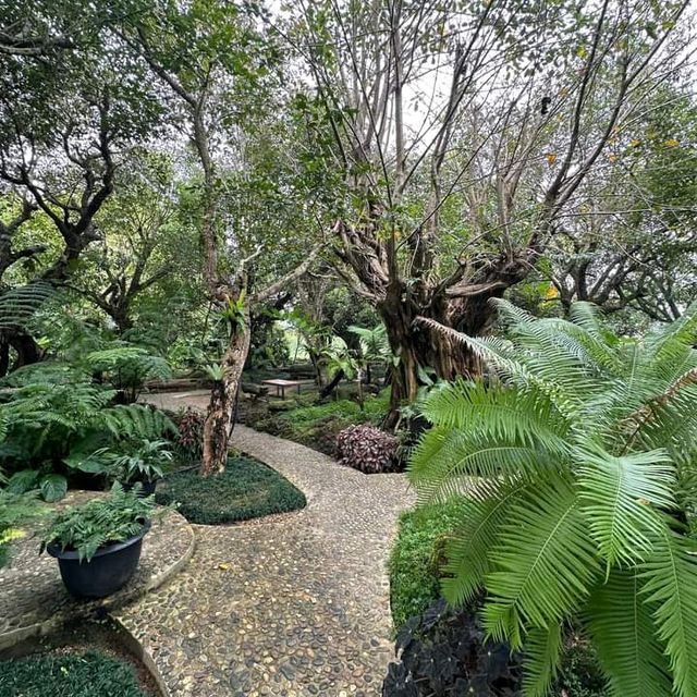 แอ่วสวนส้มปรีชา
(Preecha Farm)