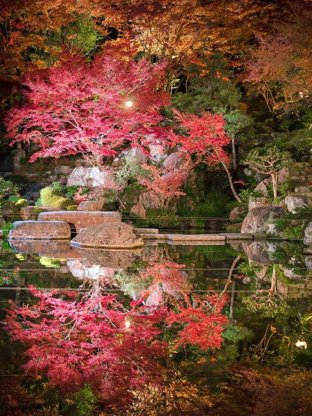 【4年ぶりの再開も！😳】滋賀県の紅葉スポットが絶景すぎる！🍁✨