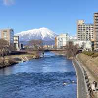 Morioka's New Year Snow Blanket! ❄️🏔️