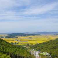 Hwagaesan Mountain Monorail (화개산 모노레일)
