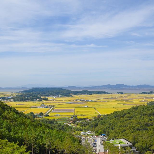 Hwagaesan Mountain Monorail (화개산 모노레일)