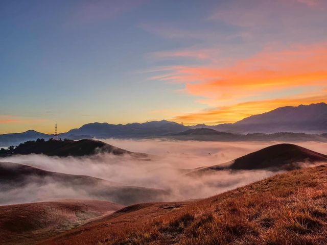 ภูหัวโล้น ⛰️ 🚩 ประเทศลาว 🇱🇦