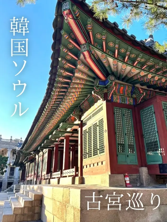 韓国ソウル古宮巡り🇰🇷