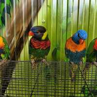 Best Park for Kids in Yercaud hill station 
