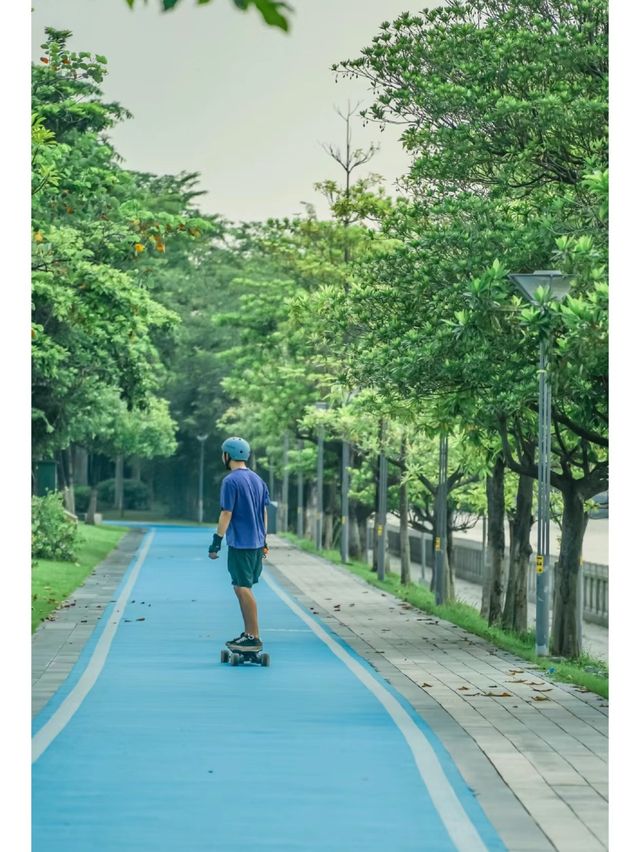 水墨園：廣州的古典園林與藝術綠洲🎨