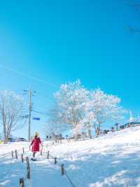 차타고 등산없이 눈꽃보는 만항재 ❄️