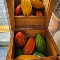 Cacao Greenhouse