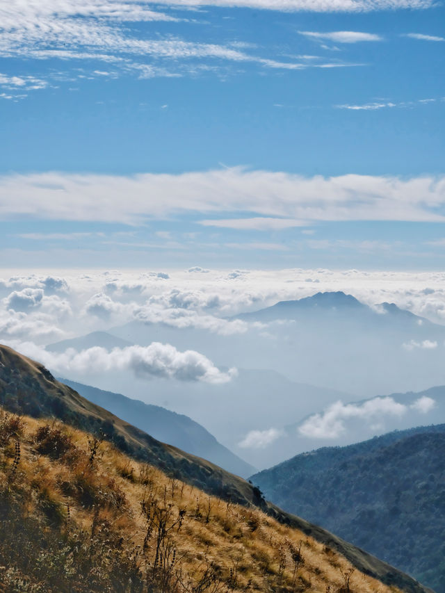 Annapurna Trek!