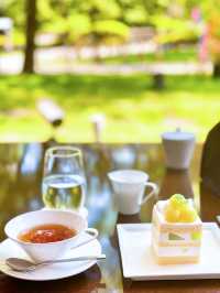 【高輪】鮮緑が気持ちいい🌿‬ゆっくり落ち着いて過ごせるホテルラウンジ☕️光明