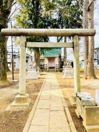 【中野天祖神社/東京都】大きな木がたくさん並ぶ神社