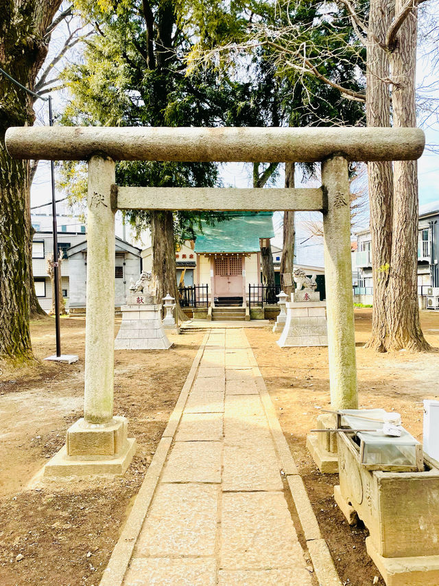【中野天祖神社/東京都】大きな木がたくさん並ぶ神社