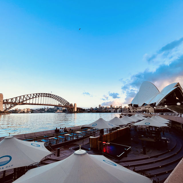 Serenity of Sydney 🇦🇺🐨🦘