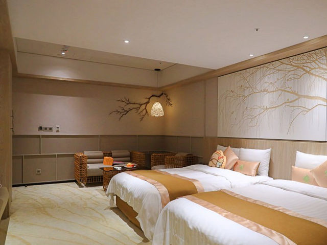 阿樹國際旅店：豐盛早餐、森林渡假感，物超所值！