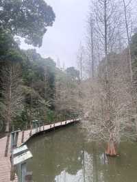 ［新竹/北埔］綠世界生態農場🦩｜超多動物可以近距離觀察 連植物都很多樣