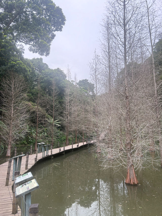 ［新竹/北埔］綠世界生態農場🦩｜超多動物可以近距離觀察 連植物都很多樣