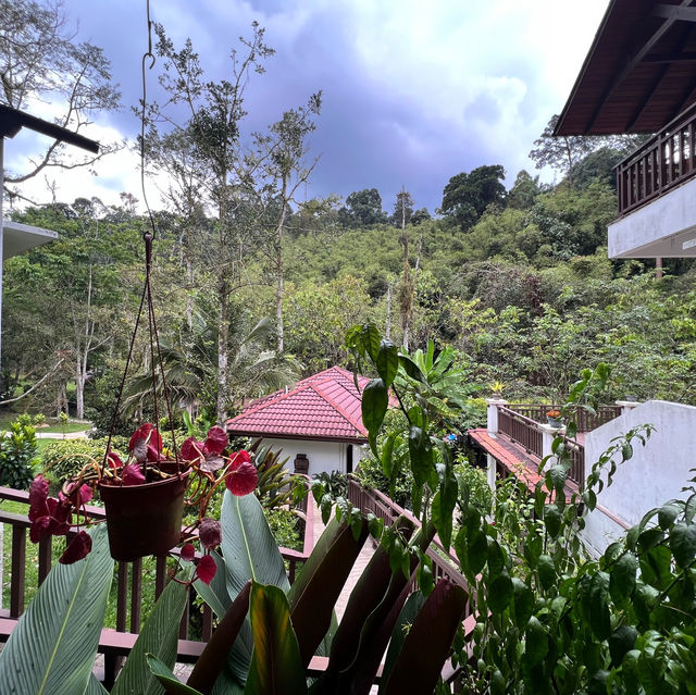 Nature Healing at Villa NurJannah Janda Baik