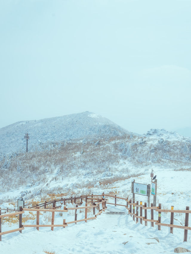 설경에 뒤덮힌 아름다운 이곳 “덕유산”