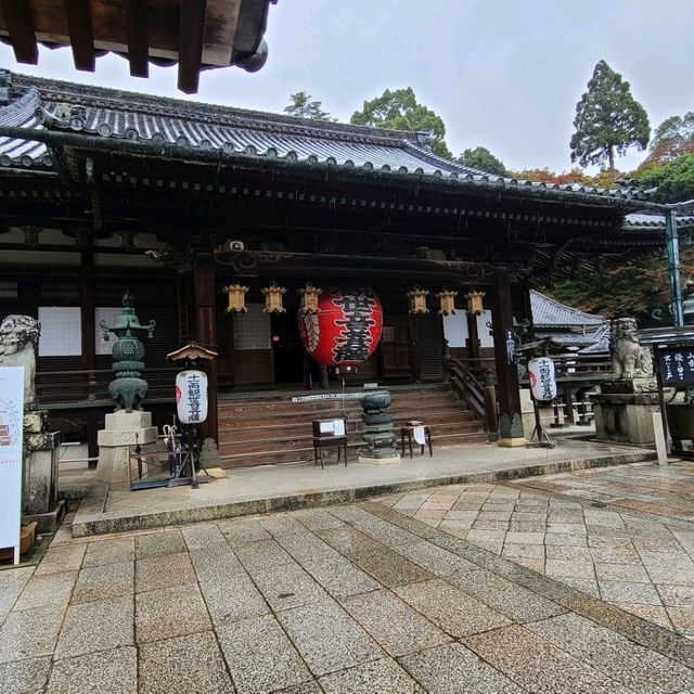 京都花手水発祥のお寺⭐柳谷観音楊谷寺⭐