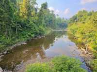 Khao Yai National Park