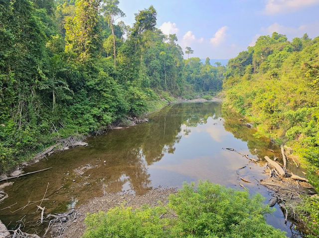 Khao Yai National Park