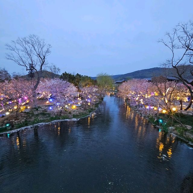 遇見春色與禪意的拈花灣