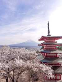 YOU NEED TO VISIT MT. FUJI IN SAKURA SEASON!