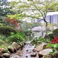 🌸 Immerse Yourself in Sakura Splendor: Shukkei-en Garden, a Tranquil Oasis in Hiroshima! 🍃🏯✨