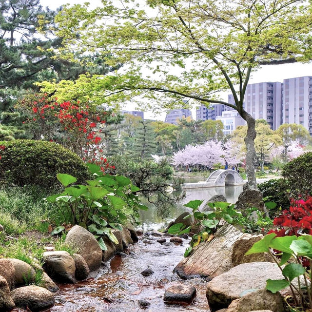 🌸 Immerse Yourself in Sakura Splendor: Shukkei-en Garden, a Tranquil Oasis in Hiroshima! 🍃🏯✨