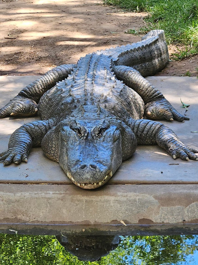 Adelaide Zoo