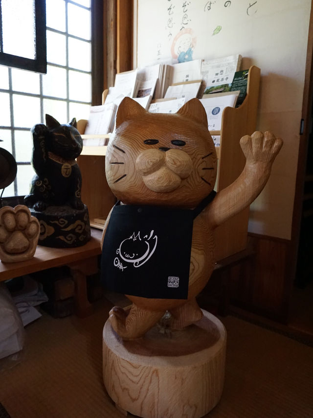 【山口】猫好きさん必見！猫だらけのお寺♡